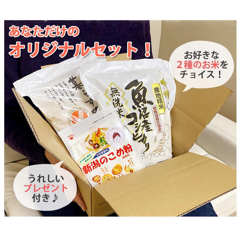 お米 4kg 送料無料 食べ比べ お試し いなほんぽのコシヒカリ選べるセット 4kg(2kg×2) プレゼント付 無洗米 精白米 新潟産 魚沼産 令和5年産 新米