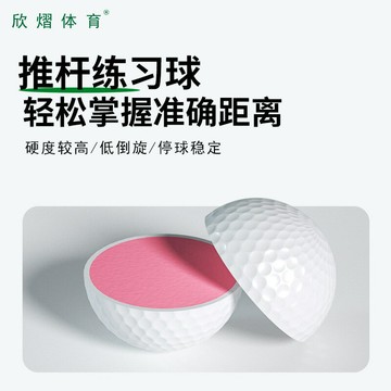 廠家直銷送人配產品高爾夫禮品球golfball沙林高爾夫雙層練習球 鑫弘-戶外運動