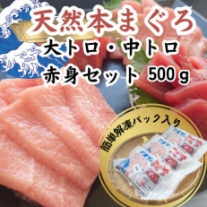 　本鮪　大トロ100g　中トロ200g　赤身200g　セット　合計500g