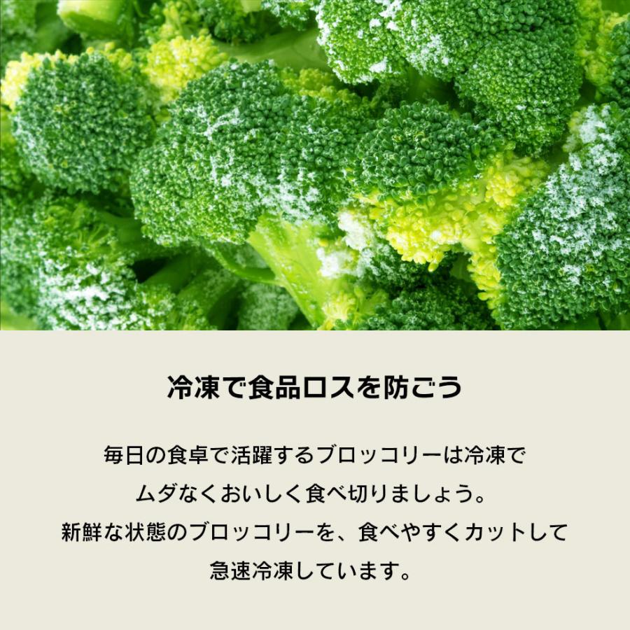 ブロッコリー 冷凍 お徳用 500g エクアドル産 冷凍野菜 大容量 業務用