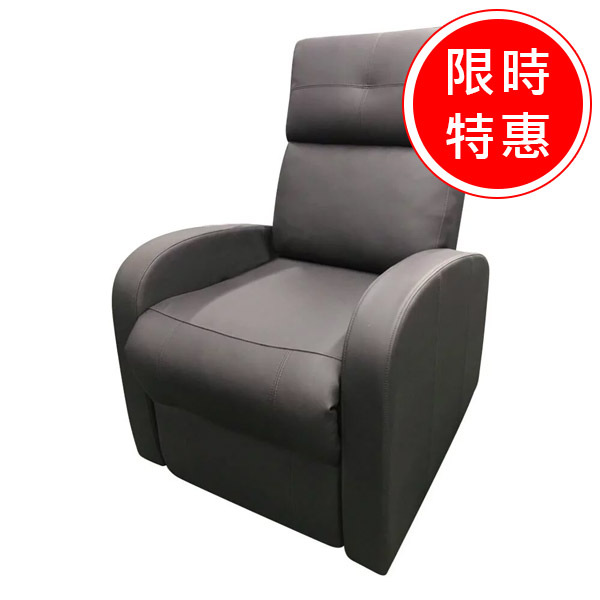 【Eurocare】雙馬達電動起身椅 棕色 (消光霧面)【L1FT3910BRN0000】