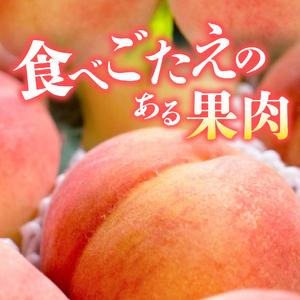 ふるさと納税 旬のフルーツ もも 5〜8玉 桃 もも モモ フルーツ 山梨県産 桃 果物 フルーツ くだもの 果実 フルーツ王国 旬 フルーツ フルー.. 山梨県富士吉田市