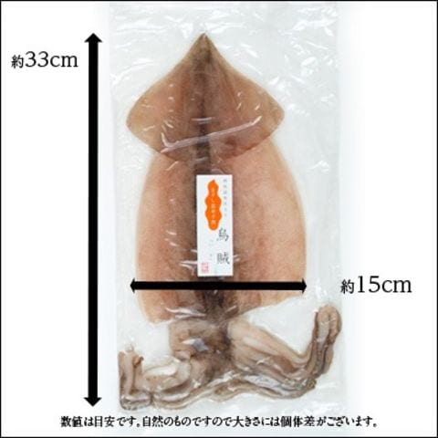 イカの一夜干し×1枚（大サイズ）「イカ」の旨みを熟成させる一夜干し加工