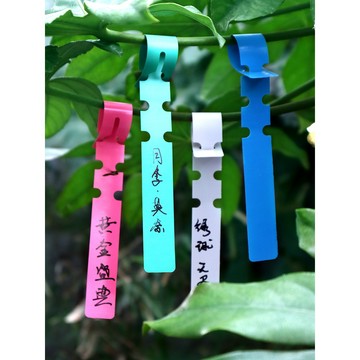 低價多肉標籤 標籤牌園藝工具小號多肉標籤插牌花名花盆彩色防水植物標籤掛牌吊