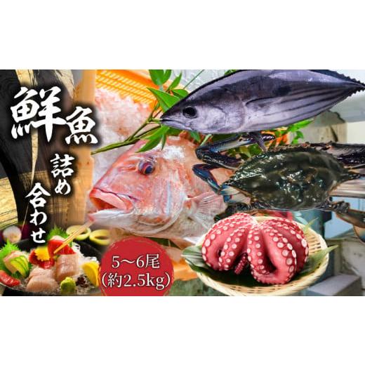 ふるさと納税 香川県 三豊市 M77-0002_鮮魚詰め合わせ 5〜6尾（約2.5kg）