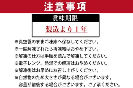 唐津呼子産いか活造り 1杯(180g前後) 急速冷凍 新鮮そのまま食卓へ！イカ 刺身 簡単 ギフト「2023年 令和5年」