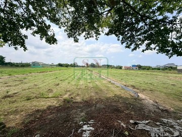 新化國稅局方正農地｜台南市新化區新化段太子廟小段