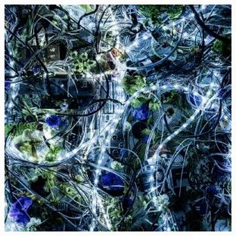 Aimer Ninelie Ep 通常盤 Cd 通販 Lineポイント最大0 5 Get Lineショッピング