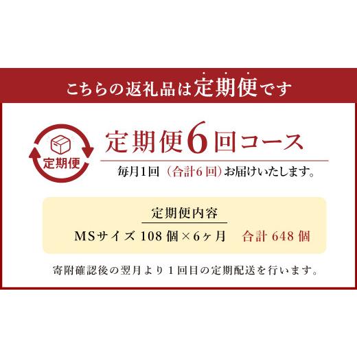 ふるさと納税 宮崎県 えびの市 わけありたまご「康卵」MSサイズ 108個 卵