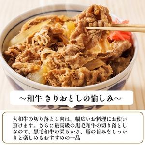 ふるさと納税 （冷凍） 大和牛 切り落とし 1000g ／ 金井畜産 国産 ふるさと納税 肉 生産農家 産地直送 奈良県 宇陀市 ブランド牛 奈良県宇陀市