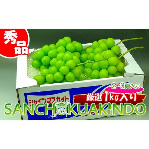 ふるさと納税 香川県 坂出市 《2024年発送》特秀品シャインマスカット1kgの詰め合わせ