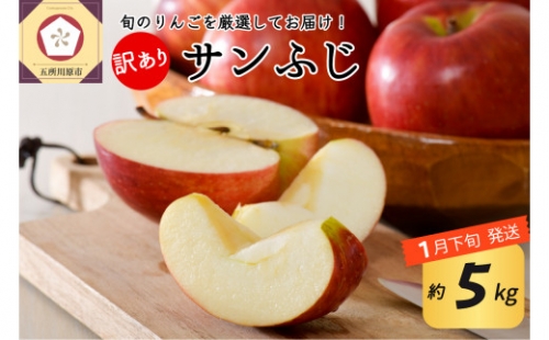   りんご 約5kg サンふじ 青森産