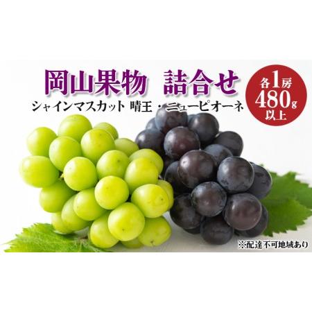 ふるさと納税 ぶどう 2024年 先行予約 岡山果物 詰合せ ニュー ピオーネ 1房 480g以上／ シャイン マスカット 1房 晴王 480g以上 化粧箱入り .. 岡山県瀬戸内市