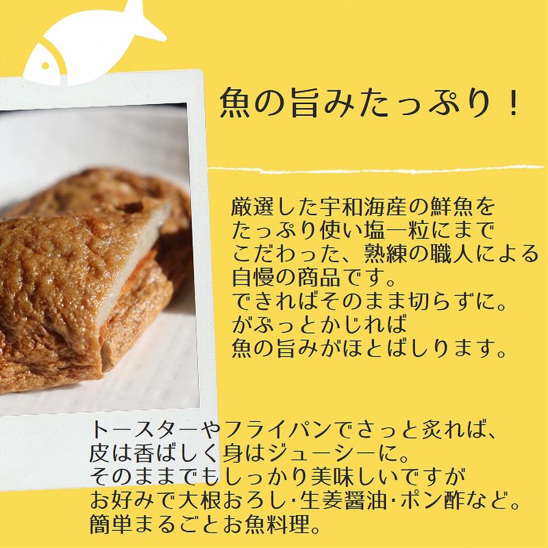 かまぼこ 愛媛県宇和島伝統の味 なかむらてんぷら ２０枚入り 箱 工場直送 送料無料