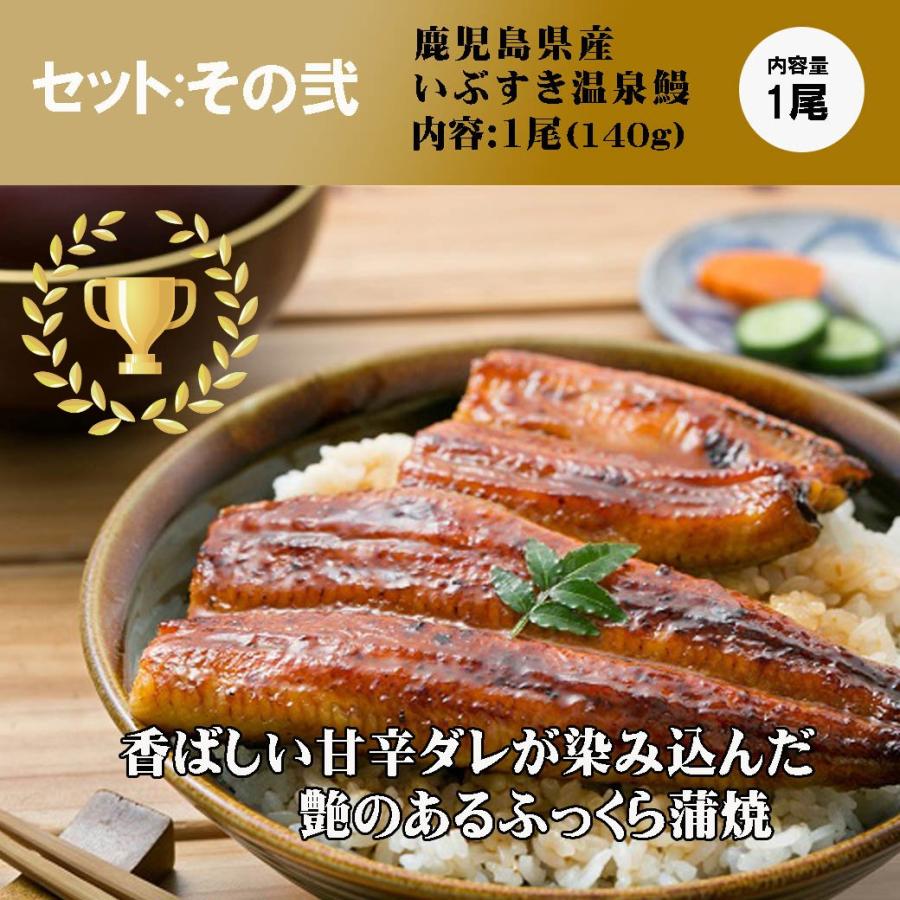 御歳暮 ギフト「鰻 ＆ 黒毛和牛切り落とし」かごしま温泉うなぎ 蒲焼き 黒毛和牛 肩バラ モモ 切り落とし