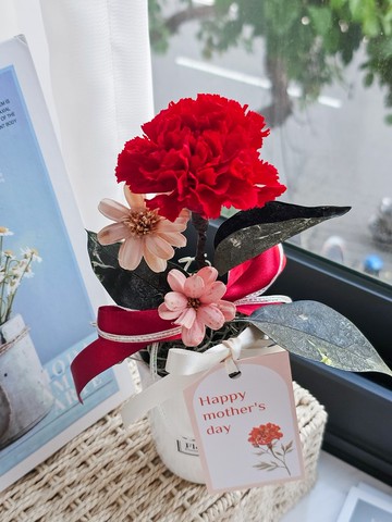 永生康乃馨小盆花