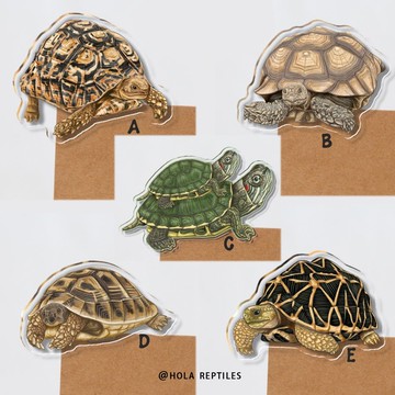 龜龜文件夾手帳夾