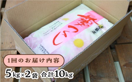 夢つくし 10kg × 6回  糸島市   三島商店 お米 白米 [AIM012]