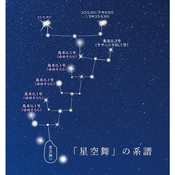 新米 5年 星空舞 5kg 2袋 送料込価格 （北海道・沖縄・離島地域除く） 鳥取県産