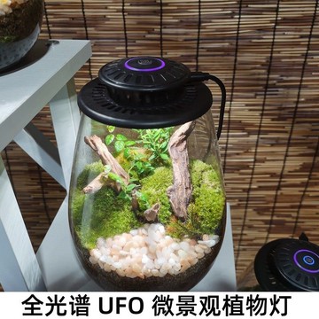 生長燈 植物生長燈 補光燈 燈管 UFO仿太陽光微景觀補光燈苔蘚燈生態瓶燈led植物生長燈氛圍景觀燈