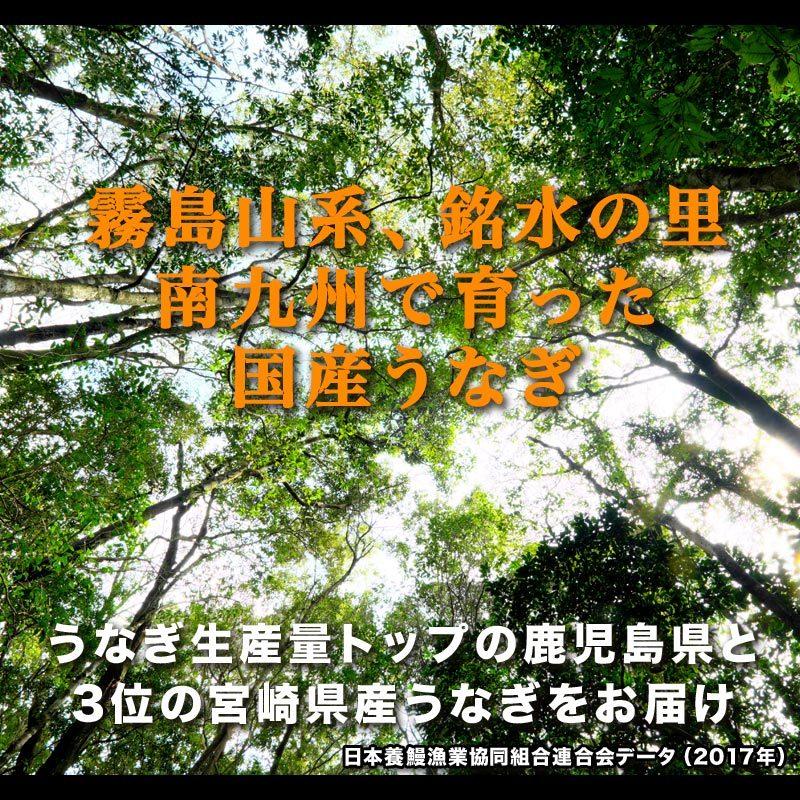 ギフト うなぎ 蒲焼き 国産 鰻 うなぎ蒲焼 セール 九州産 4尾 特大(約250g前後×4尾)60代 70代 80代 宮崎・鹿児島県産