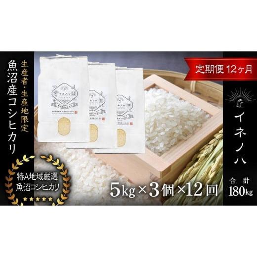 ふるさと納税 新潟県 十日町市 ＜定期便・全12回＞魚沼産コシヒカリ「イネノハ 」精米(5kg×3)×12回