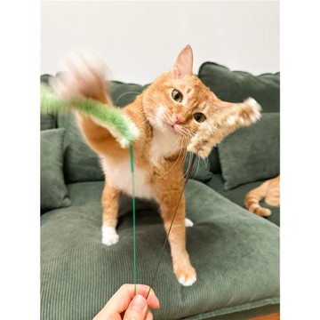 日本進口多格漫靈動逗貓棒仿真狗尾巴草不銹鋼彈性耐咬2支裝