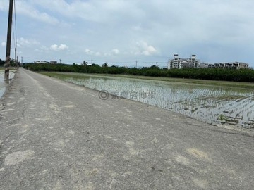 幸福優選｜大雅平坦漂亮農地｜臨５米產業道路｜台中市大雅區秀山段