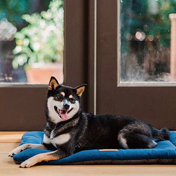 寵物床墊 睡墊 四季舒活墊 S號(10色) 可機洗