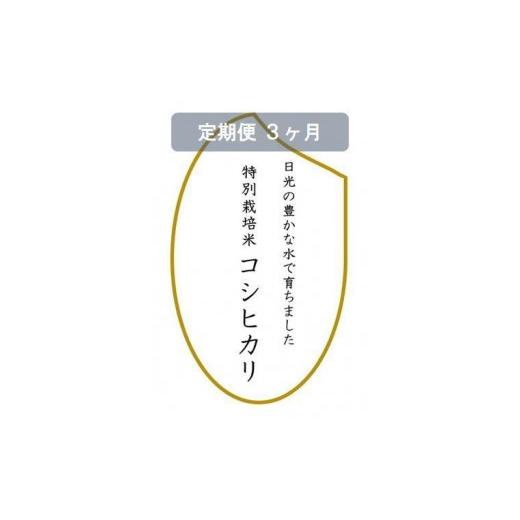 ふるさと納税 栃木県 日光市 令和5年産　特別栽培米コシヒカリ　玄米10kg（5kg×2袋）