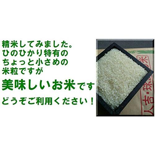 新米 令和5年 熊本県 球磨地方産 白米 ひのひかり 10kg