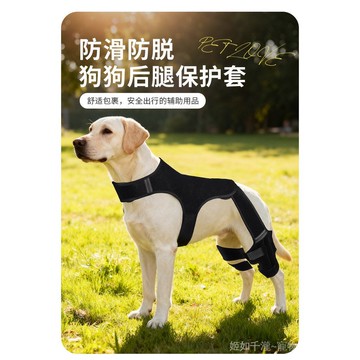 寵物護具狗後腿受傷輔助帶 腿部關節受傷護腿套膝部保護套