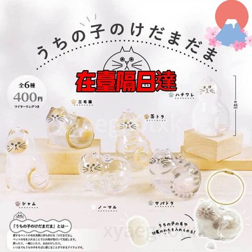臺灣出貨🔥貓咪保護神 透明毛收納盒吊飾扭蛋咪毛髮存放膠囊扭蛋包鑰匙扣掛件 小貓紀念盒 貓咪毛髮存放膠囊 小貓紀念吊飾扭蛋