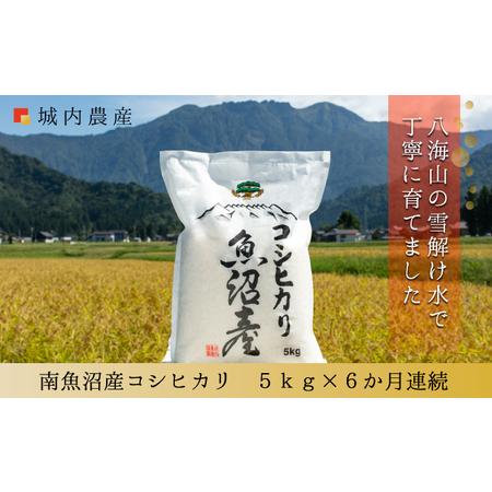 ふるさと納税 新米 令和５年産南魚沼産コシヒカリ　白米５ｋｇ＜５割減農薬栽培米＞　城内農産 新潟県南魚沼市