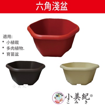 【小美紀】18cm六角淺盆（園藝資材）6寸盆 花盆 盆栽 園藝花器 種植用花盆 室內花盆 花架 多肉植物 小花盆 小美紀