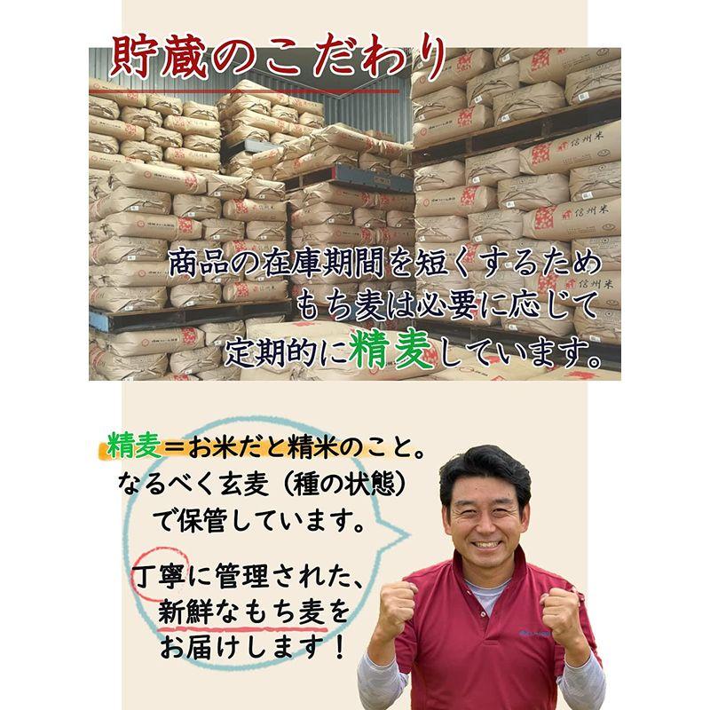 信州ファーム荻原 もち麦 ごはん 5kg 長野県 信州産 国産 精麦 健康 食物繊維 大麦 もちもち