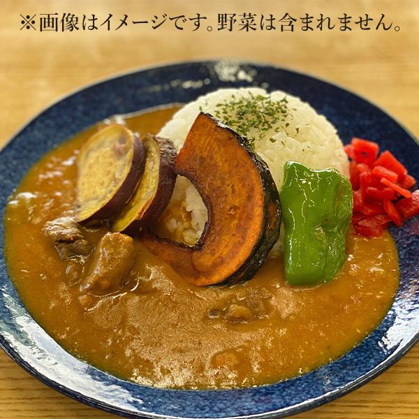 森の鹿肉カレー 10箱セット カレー レトルト ジビエ　長野 お取り寄せ ご当地 非常食 送料込(沖縄別途590円)