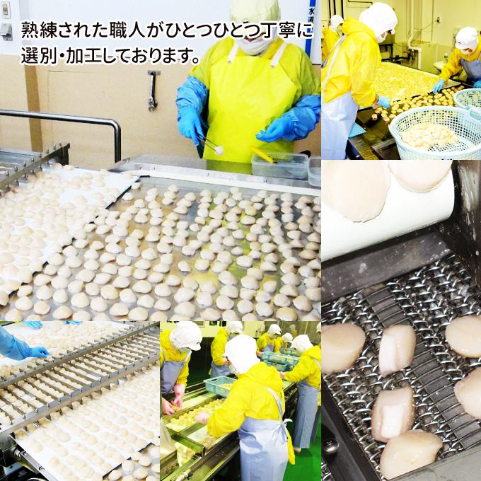 北海道産 刺身用ほたて 特 1kg 送料無料 お取り寄せグルメ