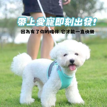 寵物牽引繩 狗狗胸背 貓咪外出牽繩 貓咪胸背帶 放掙脫 夜間反光 遛狗繩 狗鏈子 溜貓繩 狗狗牽繩 小型犬胸背 寵物用品