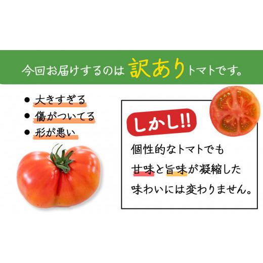 ふるさと納税 熊本県 玉名市 ご家庭用 トマト 桃太郎 約 2kg