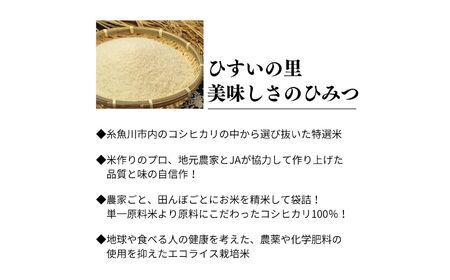 新潟県産コシヒカリ 2kg『ひすいの里』農家自慢の特選米 糸魚川 こしひかり