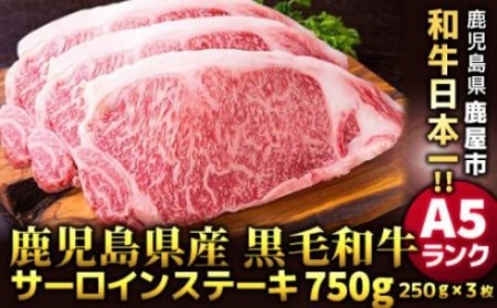 1398 鹿児島県産黒毛和牛A5ランクサーロインステーキ750g［250g×３枚］