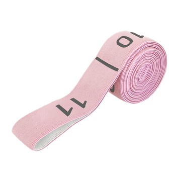 MICHAEL FITNESS 麥克健身 數字拉力帶 櫻花粉 11段體式  1個