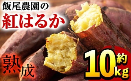 飯尾農園の「熟成」紅はるか　約10kg_miio-875