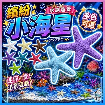 台灣免運現貨【裝飾海星】魚缸造景 水族造景 樹脂迷你海星 天然海星 地中海風格 裝飾海星 小海星 樹脂工藝品魚缸造景