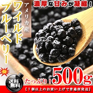 栄養満点★ワイルドブルーベリー お徳用 500g［アメリカ産］送料無料 ブルーベリー