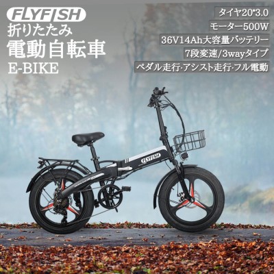 モーター 電動 自転車の検索結果 | LINEショッピング