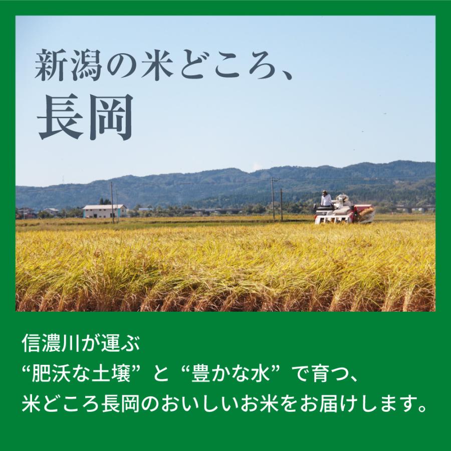 お米 ごはん白米 無洗米 5kg 5キロ 新潟県産 コシヒカリ こしひかり 令和5年産