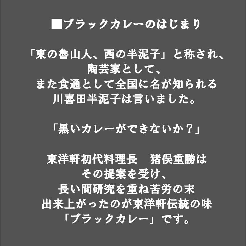 ブラックカレーうどん　五木庵　2袋2食分　ゆでたてパック麺　九州　熊本　スパイシースープ  カレーうどん  うどん  カレー