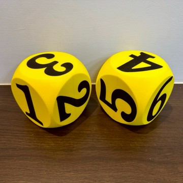 10cmEVA圓角數字骰子組（3選1，2顆/組）《台灣製造》/蝦皮代開發票